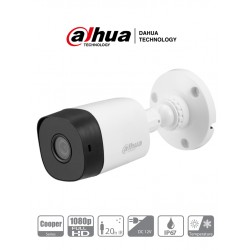 Videovigilancia, CCTV y redes